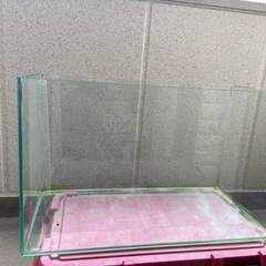 エーハイム　60センチ水槽