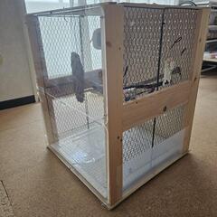 鳥かごの画像