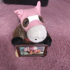 サクラエイコウオー　競馬　ぬいぐるみ　弥生賞の画像