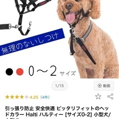 ペット トレーニング ヘッドカラー ハルティの画像