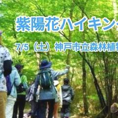 紫陽花を観に行くハイキング　7/5（土）