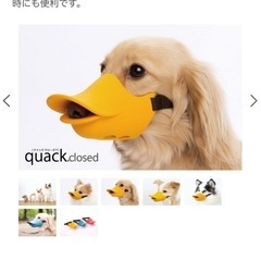 ダックス マズルガード クァッククローズド　の画像