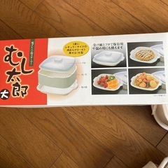 電子レンジ用スチーマーの画像