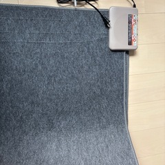 電気カーペットの画像