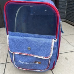 ペットよう　キャリーケース　の画像