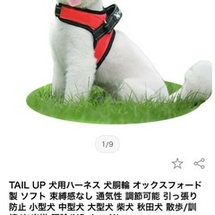 小型犬用 ハーネス tailup