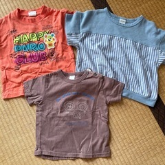 子供Ｔシャツ