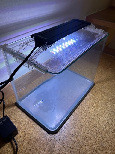 ニッソー アウトレット品 ニッソー LED PGライナー 600