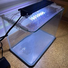 ニッソー30cmガラス水槽、LED照明付きの画像