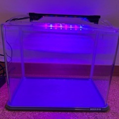 ニッソー30cmガラス水槽、LED照明付きの画像