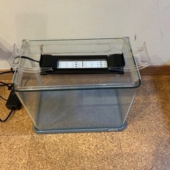 ニッソー30cmガラス水槽、LED照明付きの画像