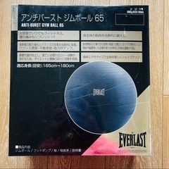 【バランスボール】EVERLAST アンチバースト　ジムボール65