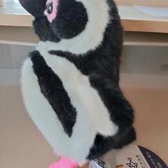 新品タグ付き！すみだ水族館 マゼランペンギン ぬいぐるみの画像