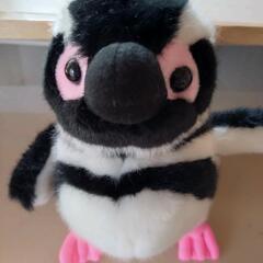 新品タグ付き！すみだ水族館 マゼランペンギン ぬいぐるみの画像