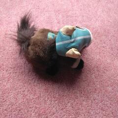 イソノルーブル　競馬　ぬいぐるみの画像