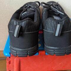 【未使用】安全靴27cmEEEの画像