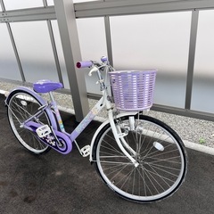 ブリヂストン ECOPAL（エコパル） 24インチ 子供用自転車
