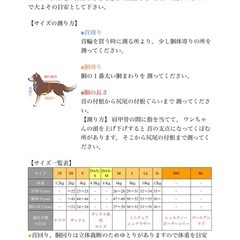 BOB'S FACTORY ペット服 ダックス用②の画像