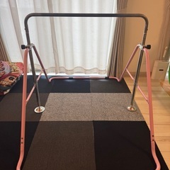 
鉄棒　室内利用　子供用