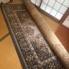 カーペット240 × 340