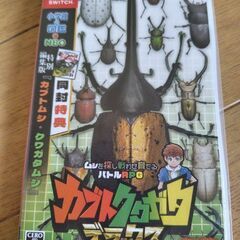 Switch　カブトクワガタデラックス　箱付き