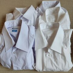 制服　カッターシャツ　中学生男の子　170㎝用　標準体型　の画像