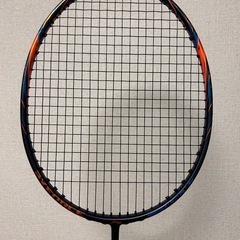 リーニン アックスフォース90 5U