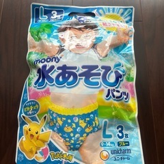 水あそびパンツ Lサイズ　16枚まとめ売りの画像