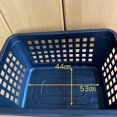 大きなバスケットの画像