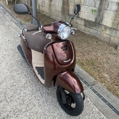 ホンダ　ジョルノ