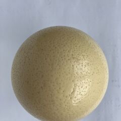 ダチョウ卵殻　＋　台座の画像