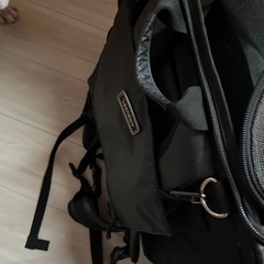 AIRBUGGYペットのリュックの画像