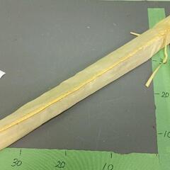 0518-146 アウトドア用品