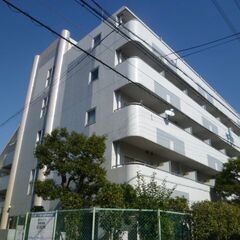 ✅当社だけ⁉️✨✔️完全初期費用無料‼️🌠✨初期費用０円契約可➕...