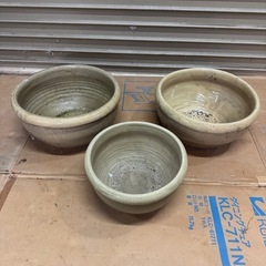 睡蓮鉢の画像