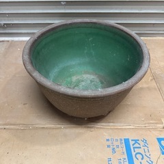 睡蓮鉢 2