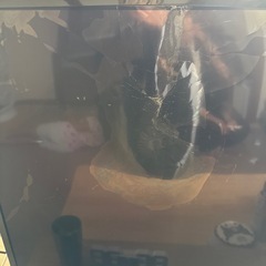 テレビ 液晶割れ ジャンク品