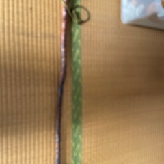 杖