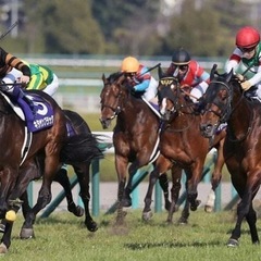競馬🏇好きな20歳以上の男女！グルちゃ新規立ち上げ初期メン…