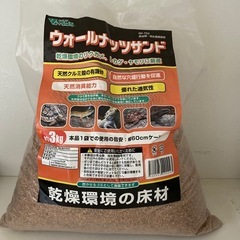 ウォールナッツサンド1.5キロ