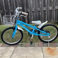 自転車　子供　20インチ　ルイガノ