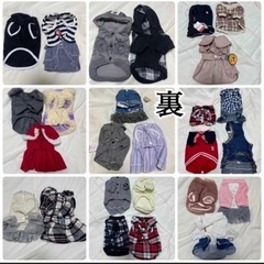  【新品】28着ペット服 Sサイズまとめ売りの画像