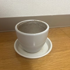 植木鉢　差し上げます　