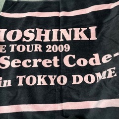 東方神起 4th ライブツアー 2009年東京ドーム タオル