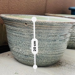 信楽焼　睡蓮鉢
