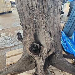 巨大流木飾りの画像