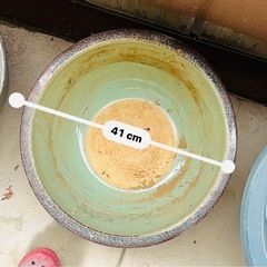 信楽焼　睡蓮鉢の画像