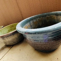 信楽焼　睡蓮鉢の画像