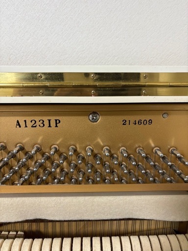 楽器 APOLO A123IP
