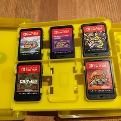 Switch Light 本体 + カセットの画像